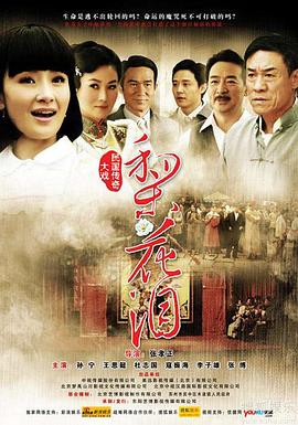 梨花泪第01集