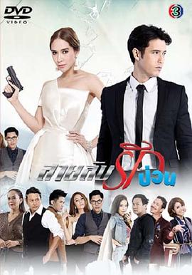 间谍情迷第02集