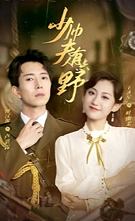 少帅夫人有点野全集(大结局)