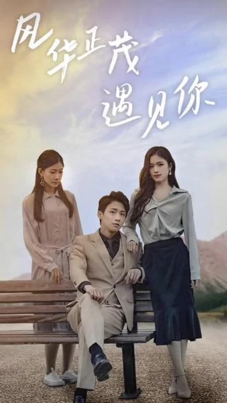 风华正茂遇见你61-70集(大结局)