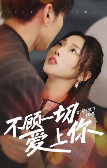 不顾一切爱上你1-20集