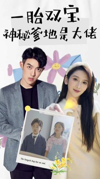 新一胎双胞，神秘爹地是大佬1-20集