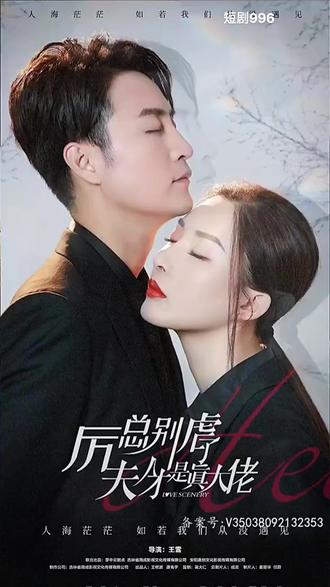 厉总别虐了，夫人才是真大佬1-20集