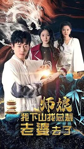师娘，我下山找总裁老婆了1-20集