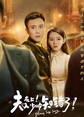 夫人在上,少帅知错了61-80集