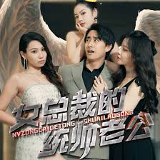 女总裁的统帅老公21-40集