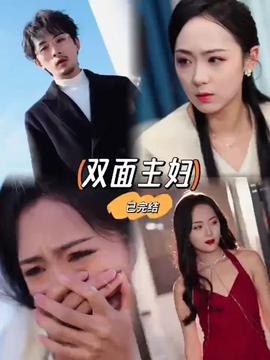 双面主妇全集(大结局)