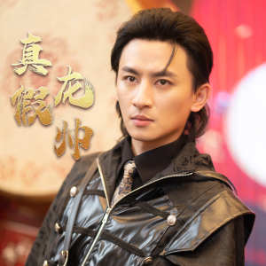 真假龙帅全集(大结局)