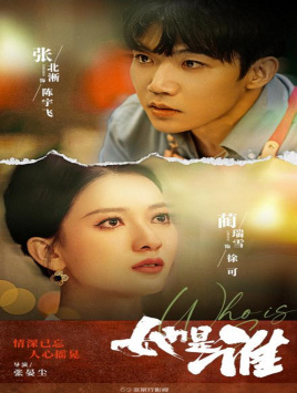 她是谁35集短剧版全集(大结局)