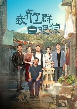 我养了一群白眼狼&家家有本难念的经全集(大结局)