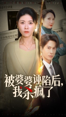 被婆婆诬陷后我杀疯了全集(大结局)