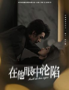 在他眼中沦陷全集(大结局)