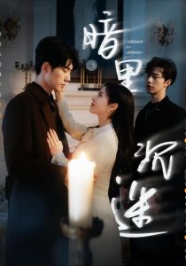 暗里沉迷全集(大结局)